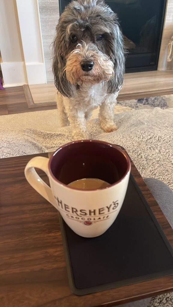 A photograph of a small dog and a coffee cup.