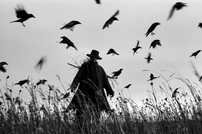 scarecrow